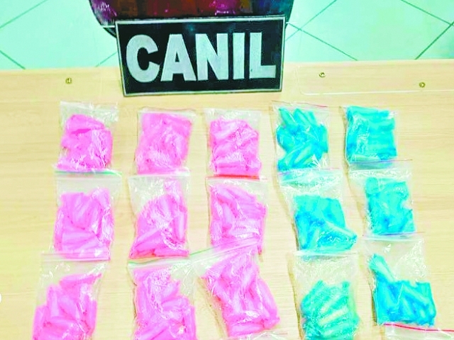 Cão farejador Duke indicou substâncias ilícitas em cano de água pluvial