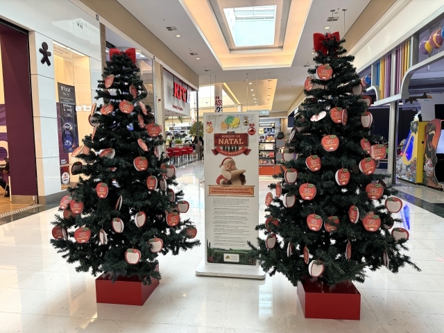 Árvores com cartões dos assistidos ficam disponíveis em vários pontos do Polo Shopping 