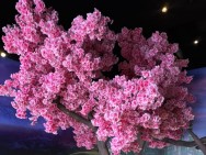 Iguatemi Campinas recebe “Wicked – A Experiência” pela primeira vez no Brasil