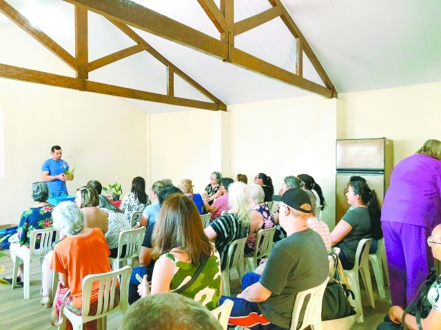 Haverá palestra gratuita sobre cultivo básico de orquídeas
