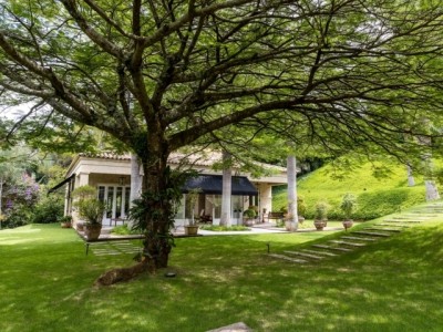 GRAMA OU FORRAÇÃO? 