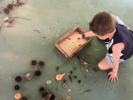 Domingo Ecológico encerra 2025 com vivências sobre natureza e ancestralidade no Bosque do Saber