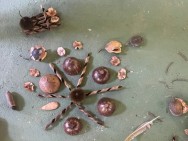 Domingo Ecológico encerra 2025 com vivências sobre natureza e ancestralidade no Bosque do Saber