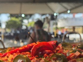 Festival Vivência Nordestina acontece de 12 a 14 de dezembro em Campinas