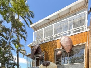 Novo espaço dedicado à adoção de cães e gatos com conceito inédito