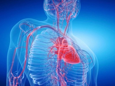 Verão e Carnaval exigem atenção redobrada com a saúde das pernas e do sistema vascular