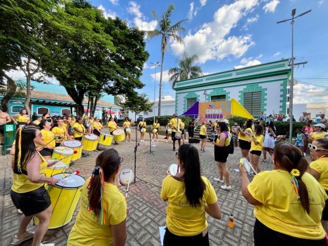 Com Futfolia, bonecões gigantes, desfiles e mais, região de Campinas comemora o Carnaval 2026