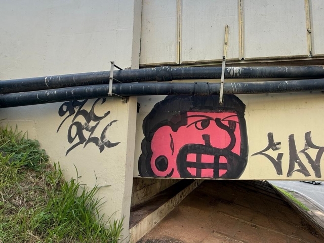 GCM flagra dupla por pichação em pontilhão no km 62 da rodovia