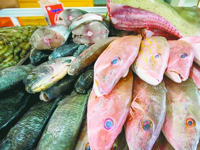 O volume de peixes consumidos em todo o país cresceu 8,2% entre janeiro e setembro do ano passado