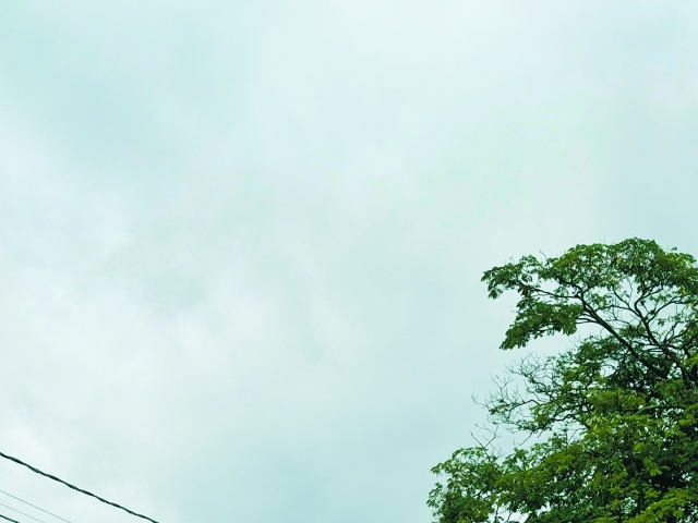 Prefeituras têm mobilizado equipes para realizar a manutenção