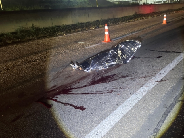 Motociclista morre após atropelamento na Rodovia Santos Dumont