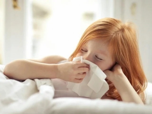 A gripe causada pelo vírus influenza é uma das mais comuns