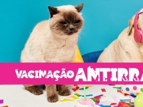Cadastro para vacinação antirrábica em abril será aberto na quarta-feira (22)