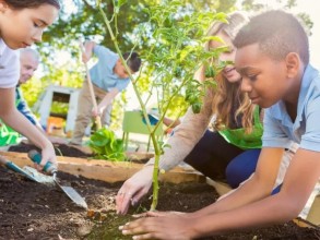 Curso gratuito capacita educadores para escolas mais verdes e resilientes
