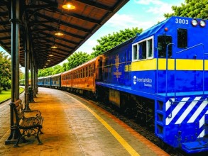 Excursão conduz a passeio a bordo do Trem da República