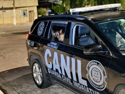 Guarda Civil apreende mais de mil porções de drogas escondidas  