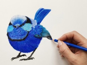 Expedição em Arte Natural convida a redescobrir a beleza das cores