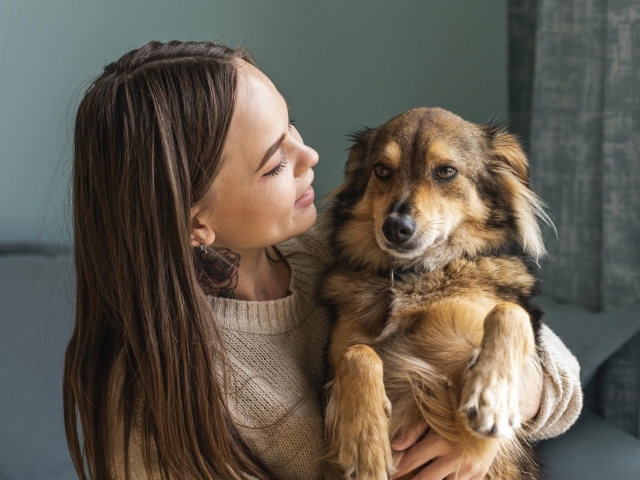 A medicina preventiva também é uma das principais aliadas para garantir mais qualidade e expectativa de vida aos animais