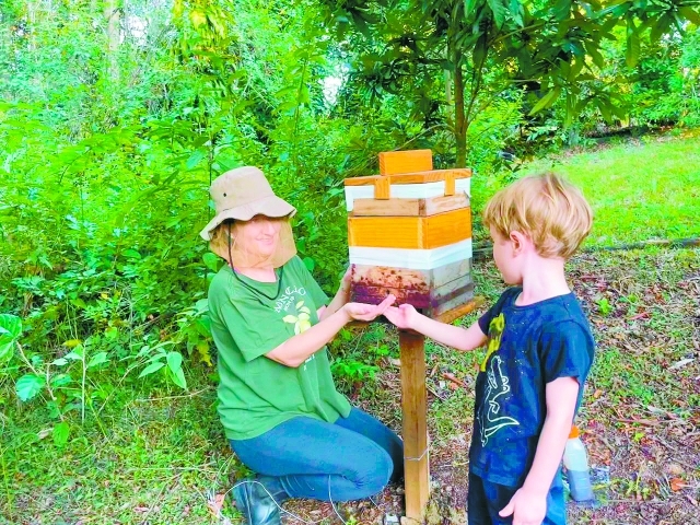O Jardins de Favos é um projeto de educação ambiental infantil
